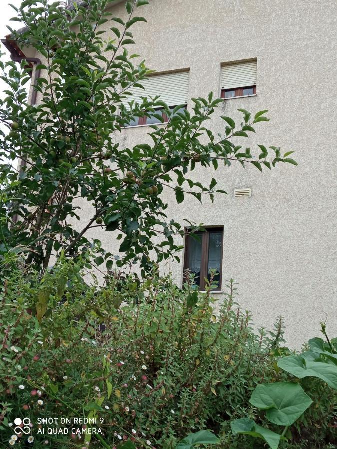 Casa Dos Grilos Пенакова Экстерьер фото